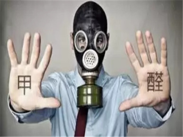 幼兒園甲醛超標！誰來為孩子的健康買單？